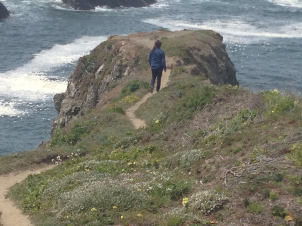 Joshua Grindle Inn Mendocino Luaran gambar