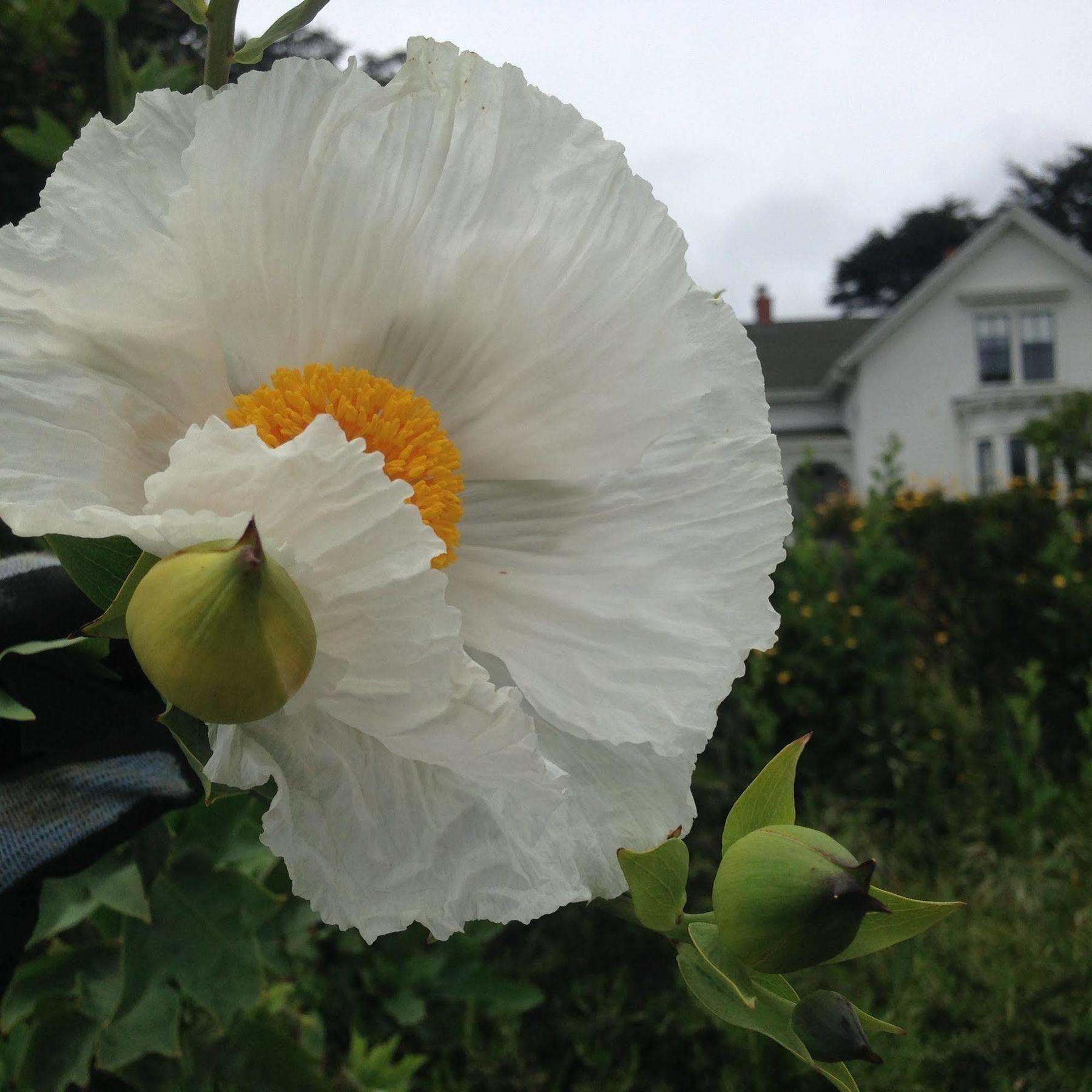 Joshua Grindle Inn Mendocino Luaran gambar